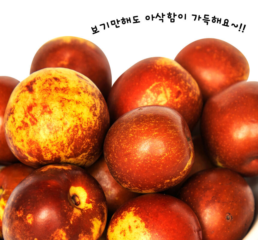 이미지 설명이 없습니다.