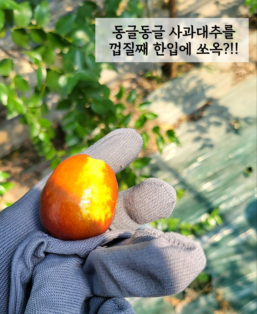 이미지 설명이 없습니다.