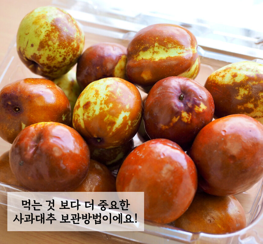 이미지 설명이 없습니다.