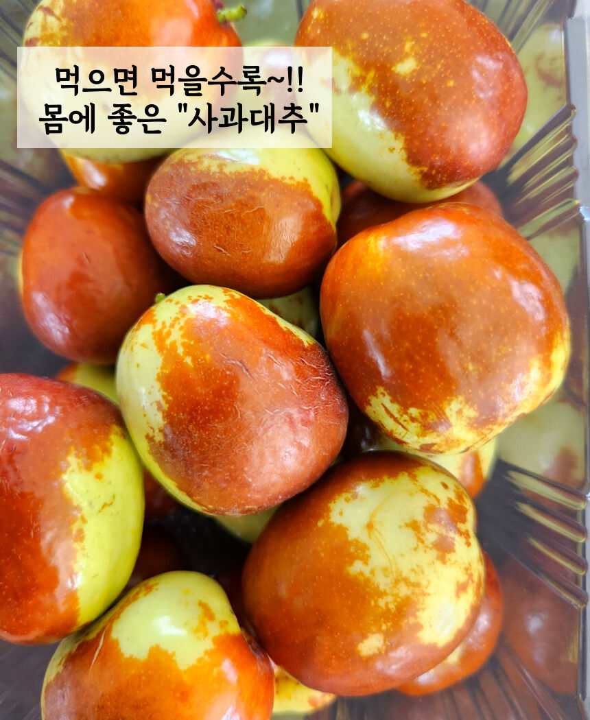 이미지 설명이 없습니다.