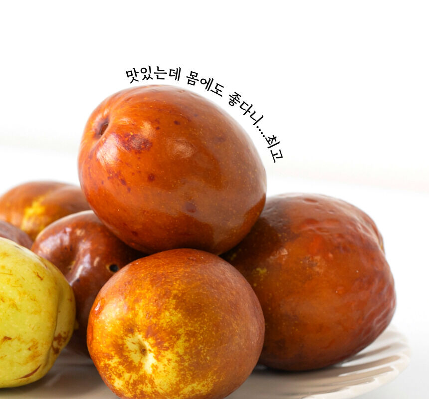 이미지 설명이 없습니다.