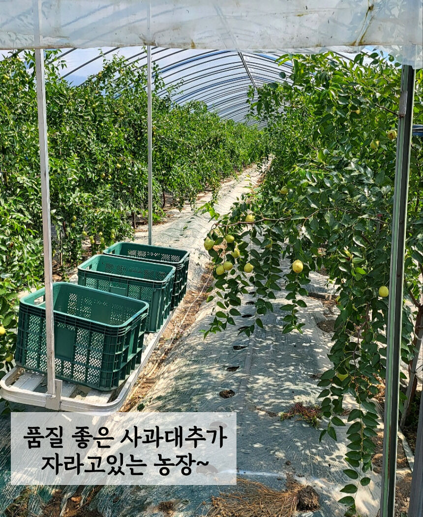 이미지 설명이 없습니다.