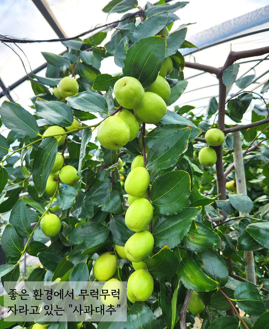 이미지 설명이 없습니다.
