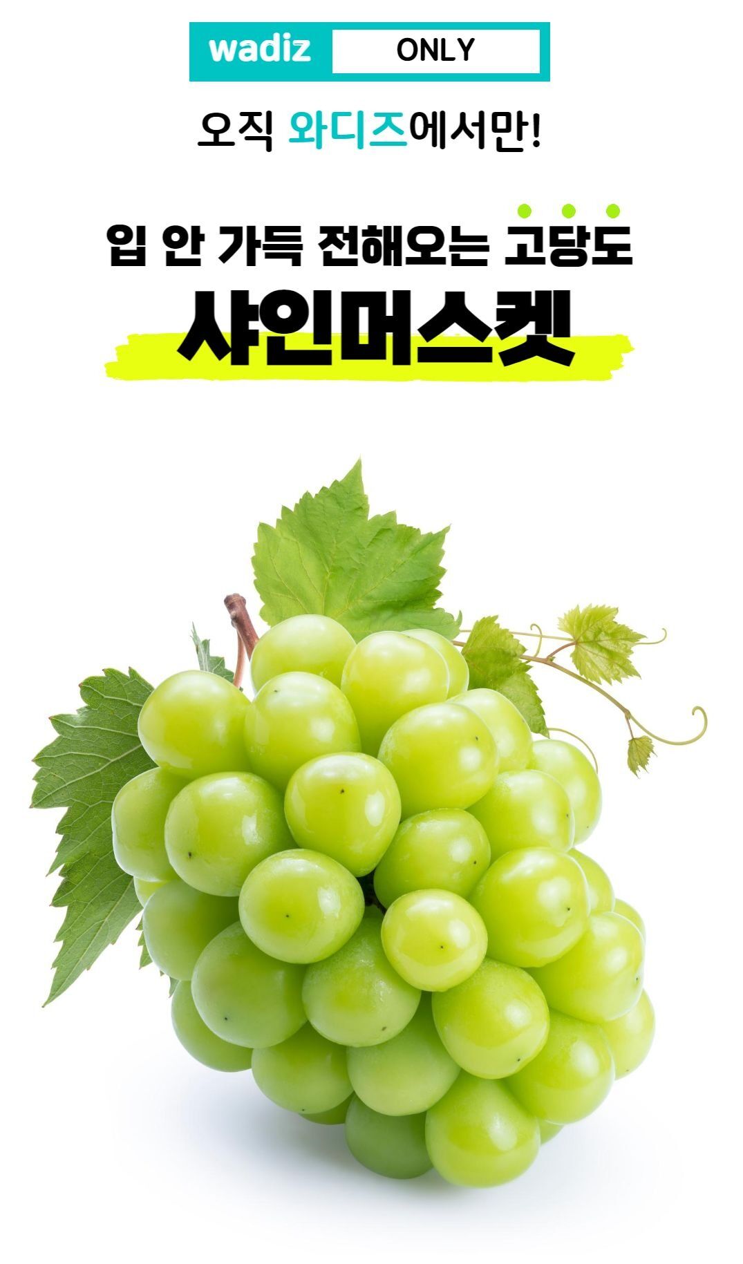 이미지 설명이 없습니다.