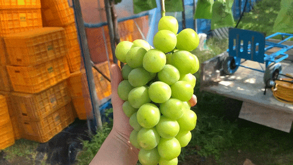 이미지 설명이 없습니다.