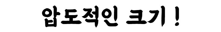 이미지 설명이 없습니다.