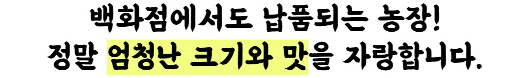 이미지 설명이 없습니다.