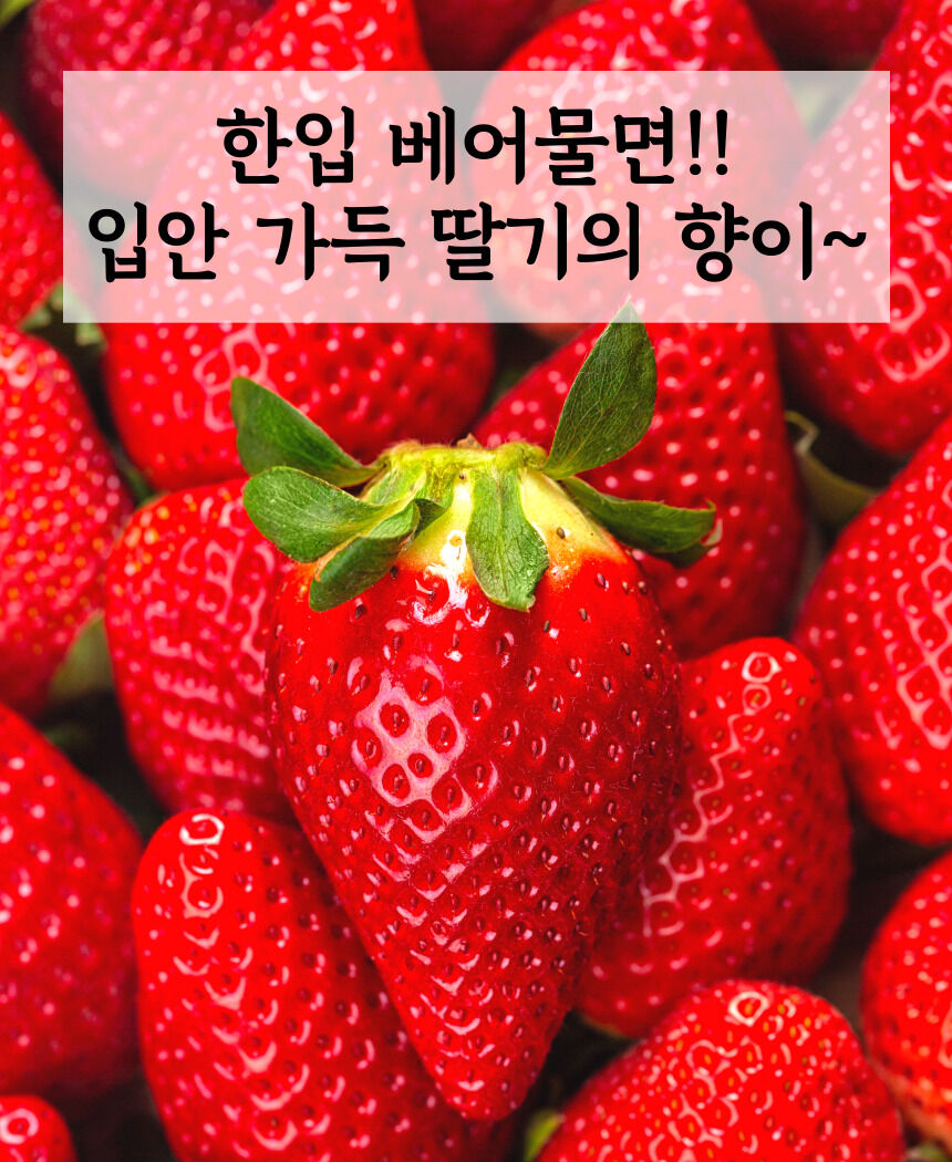 이미지 설명이 없습니다.