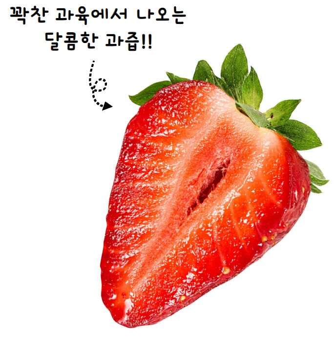 이미지 설명이 없습니다.