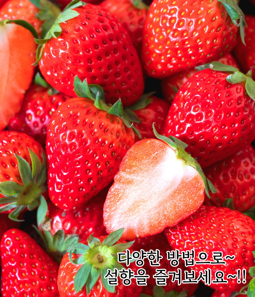 이미지 설명이 없습니다.