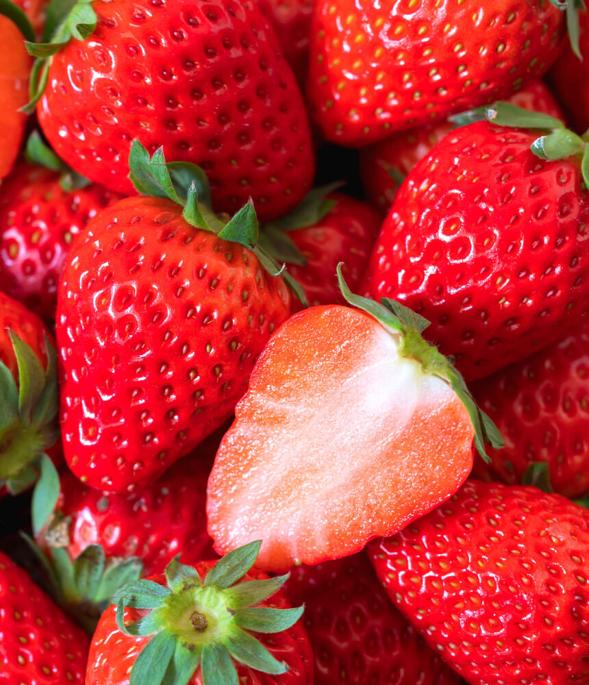 이미지 설명이 없습니다.