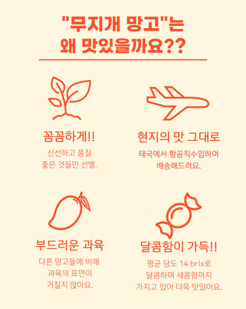 이미지 설명이 없습니다.