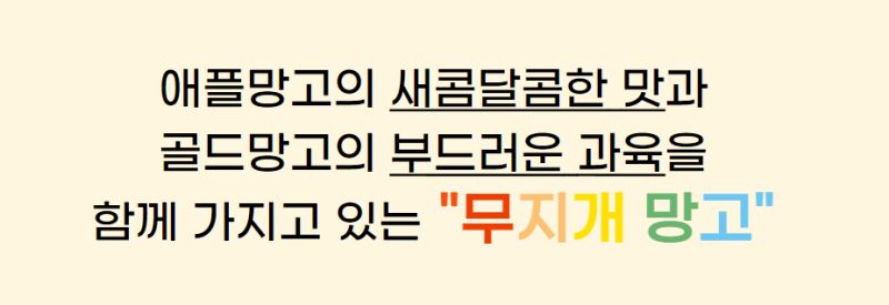 이미지 설명이 없습니다.