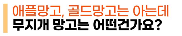 이미지 설명이 없습니다.