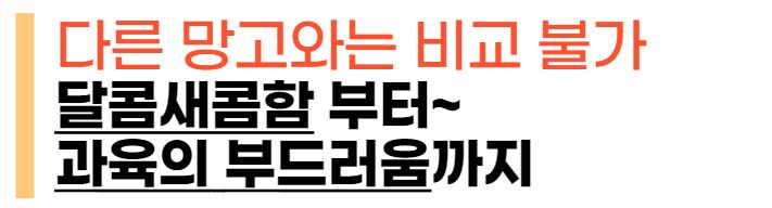 이미지 설명이 없습니다.