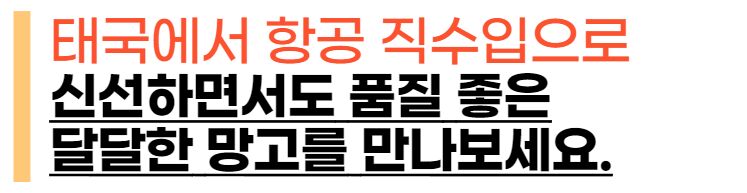 이미지 설명이 없습니다.