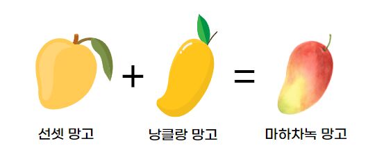 이미지 설명이 없습니다.