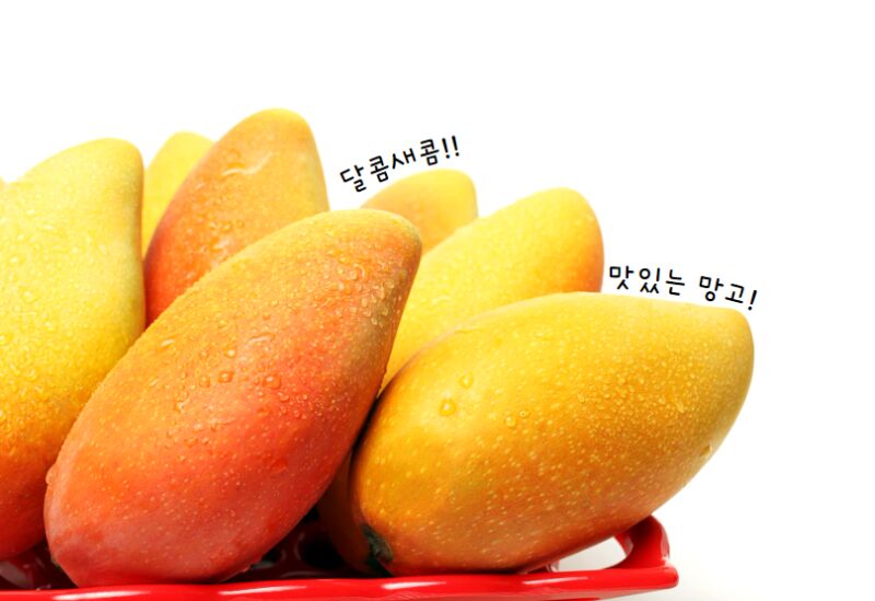 이미지 설명이 없습니다.