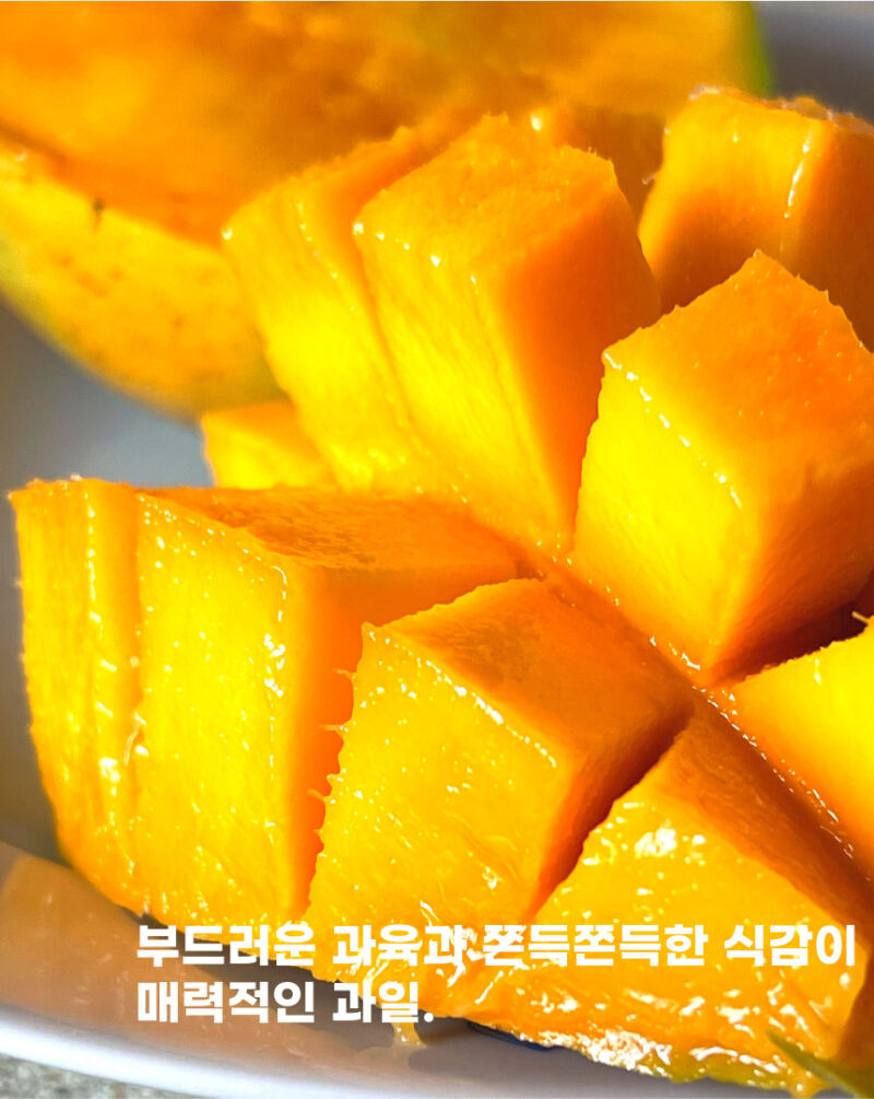 이미지 설명이 없습니다.