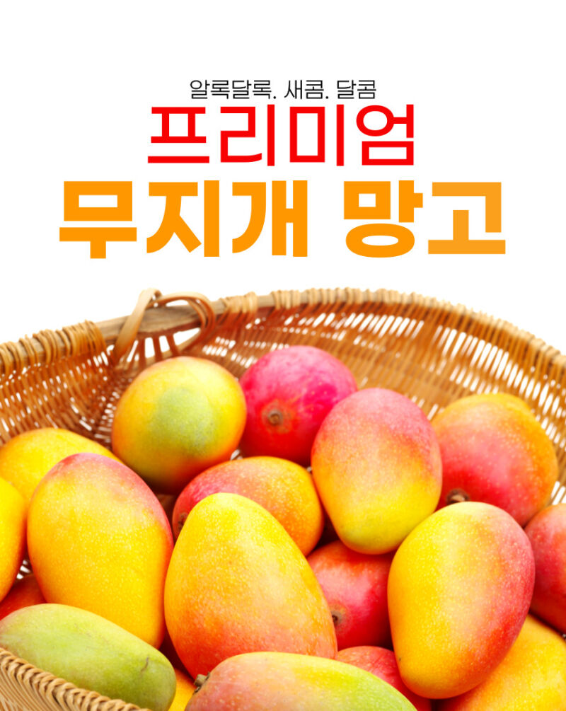 이미지 설명이 없습니다.