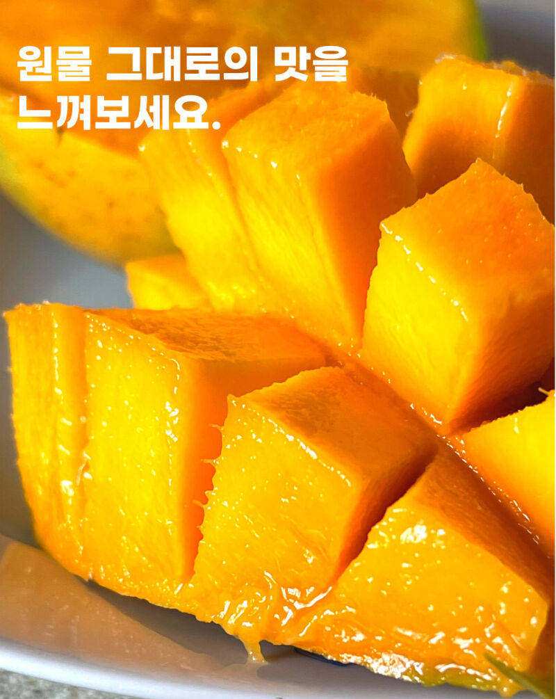 이미지 설명이 없습니다.