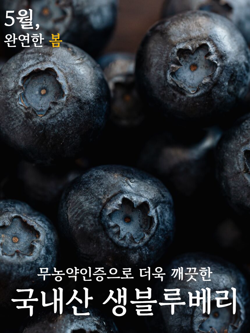 이미지 설명이 없습니다.