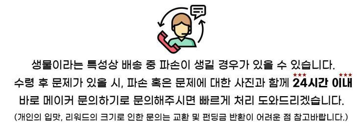 이미지 설명이 없습니다.