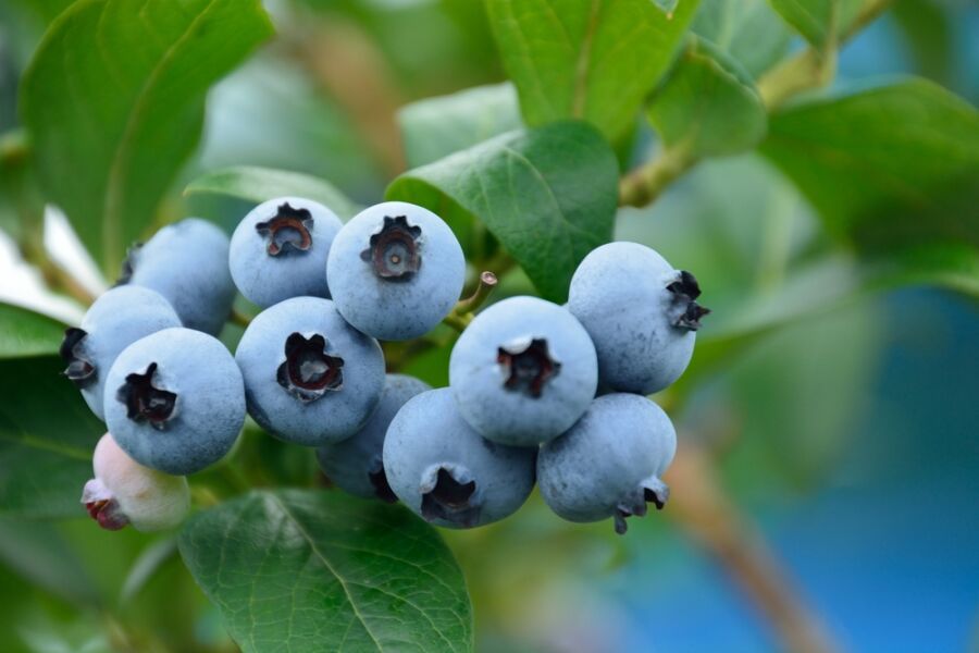 이미지 설명이 없습니다.