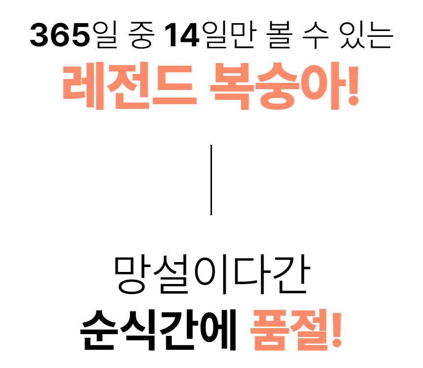 이미지 설명이 없습니다.