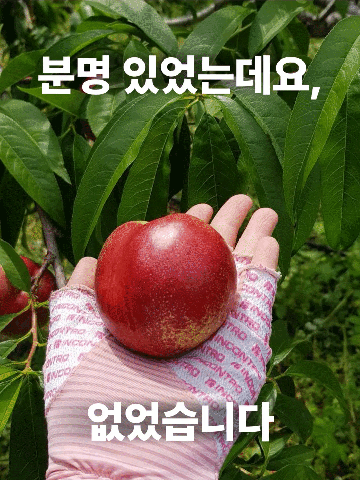 이미지 설명이 없습니다.