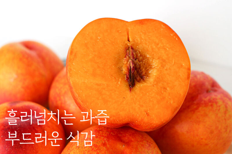 금홍 식감.jpg