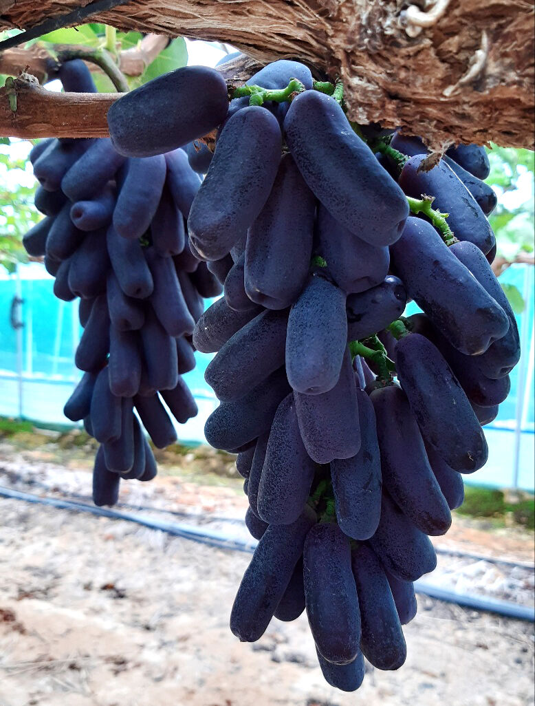 KakaoTalk_20230802_160757515-13.jpg